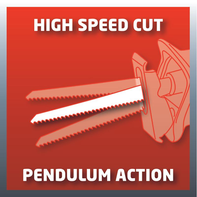 Einhell TE-AP 1050 E Universalsäge Säbelsäge Fuchsschwanz Tigersäge 1050 Watt Einhell